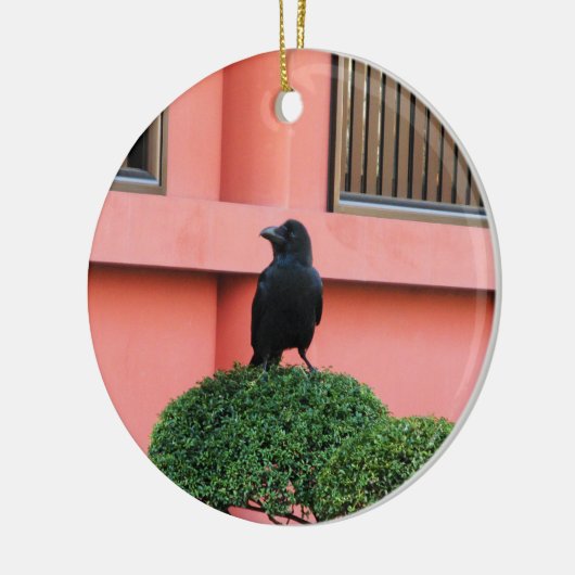 Een Oerwoud met grote vulling bedekt een baars op Keramisch Ornament (Links)