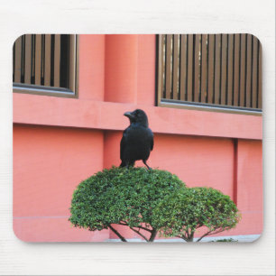 Een Oerwoud met grote vulling bedekt een baars op  Muismat