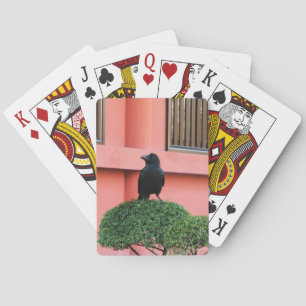 Een Oerwoud met grote vulling bedekt een baars op  Pokerkaarten