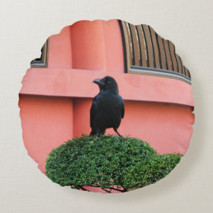 Een Oerwoud met grote vulling bedekt een baars op  Rond Kussen