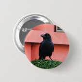 Een Oerwoud met grote vulling bedekt een baars op  Ronde Button 5,7 Cm (Voorkant /achterkant)