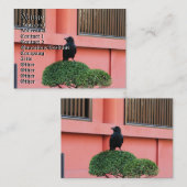 Een Oerwoud met grote vulling bedekt een baars op  Visitekaartje (Voorkant / Achterkant)