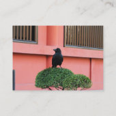 Een Oerwoud met grote vulling bedekt een baars op  Visitekaartje (Achterkant)