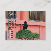 Een Oerwoud met grote vulling bedekt een baars op  Visitekaartje (Voorkant)