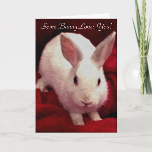 Één of ander Konijntje houdt van u de Kaart van de (Voorkant)