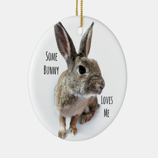 Een of andere Bunny houdt van Collectie Rabbit Pas Keramisch Ornament (Rechts)