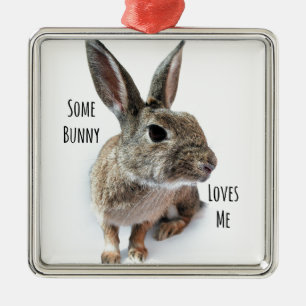 Een of andere Bunny houdt van Collectie Rabbit Pas Metalen Ornament
