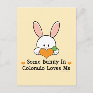Een of andere Bunny in Colorado houdt van mij Brie Briefkaart