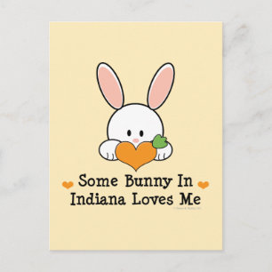 Een of andere Bunny in Indiana houdt van mij Brief Briefkaart
