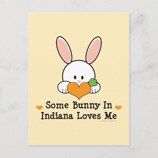 Een of andere Bunny in Indiana houdt van mij Brief Briefkaart (Voorkant)