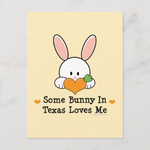 Een of andere Bunny in Texas houdt van me Briefkaa Briefkaart