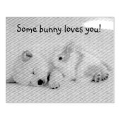 Een of andere konijn houdt van je sms rubberstempel (Afrduk)