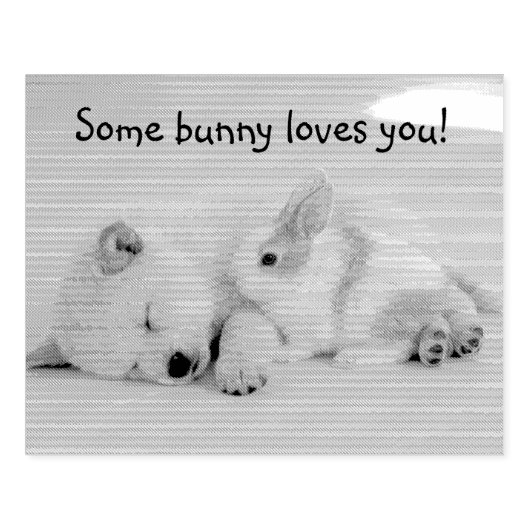 Een of andere konijn houdt van je sms rubberstempel (Afrduk)