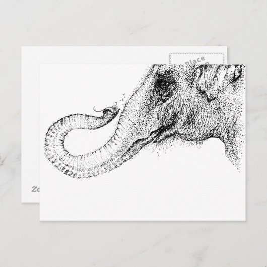 Een olifant is trouw 100% briefkaart (Voorkant / Achterkant)
