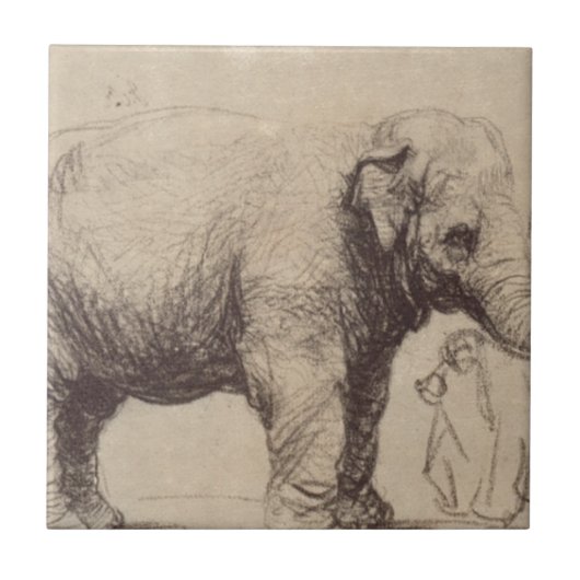 Een olifant van Rembrandt Tegeltje (Voorkant)