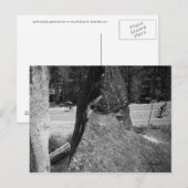 Één omhoog Één neer Briefkaart (Voorkant / Achterkant)