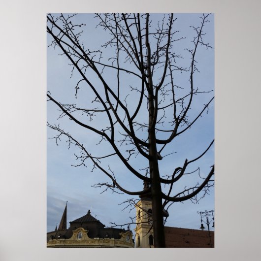 een omwentelingsboom poster (Voorkant)