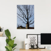 een omwentelingsboom poster (Thuiskantoor)