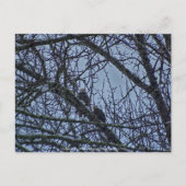Een onderneming voor de winter briefkaart (Voorkant)