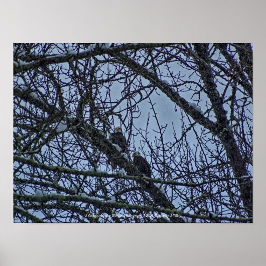 Een onderneming voor de winter poster (Voorkant)