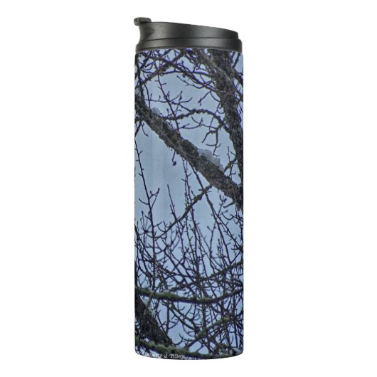 Een onderneming voor de winter thermosbeker (Geroteerd rechts)