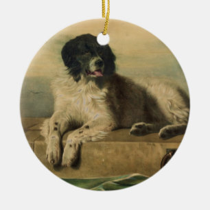 Een onderscheiden lid van de Humane Society Keramisch Ornament