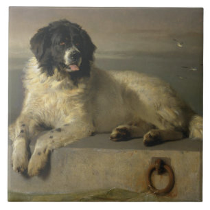 Een onderscheiden lid van de Humane Society Tegeltje