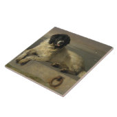 Een onderscheiden lid van de Humane Society Tegeltje (Zijkant)