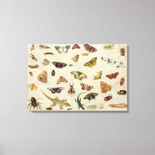 Een onderzoek naar insecten canvas afdruk (Voorkant)