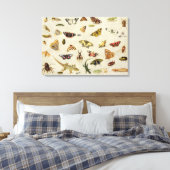 Een onderzoek naar insecten canvas afdruk (Insitu (Slaapkamer))