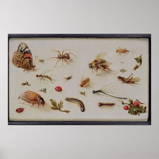 Een onderzoek naar insecten poster (Voorkant)