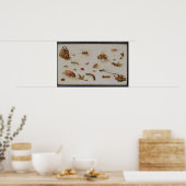 Een onderzoek naar insecten poster (Keuken)