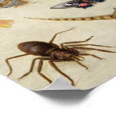 Een onderzoek naar insecten poster (Hoek)