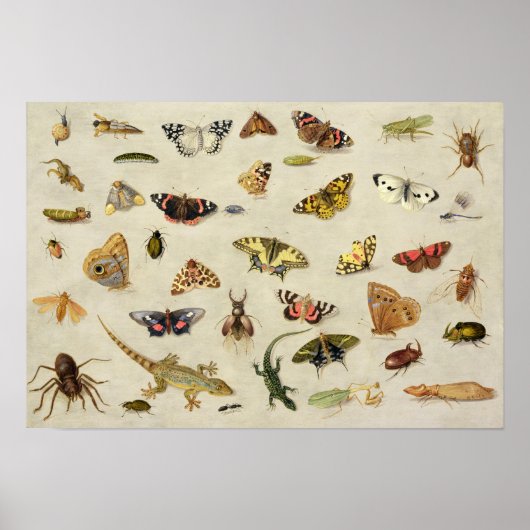 Een onderzoek naar insecten poster (Voorkant)