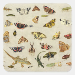 Een onderzoek naar insecten vierkante sticker