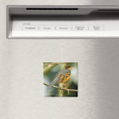 Een ondoordringbaar maar mooi gevarieerd spruitstu magneet (Insitu (Vaatwasser))