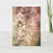 Een onduidelijk beeld van roze, ondoordringbaar kaart (Voorkant)