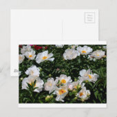 Een ongeëvenaarde glans briefkaart (Voorkant / Achterkant)