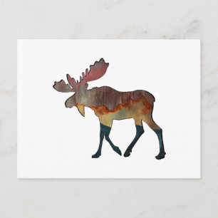 Een ongelooflijke reis briefkaart