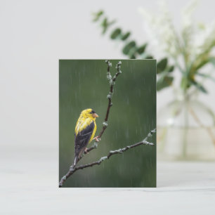 Eén ongelukkige Goldfinch Briefkaart