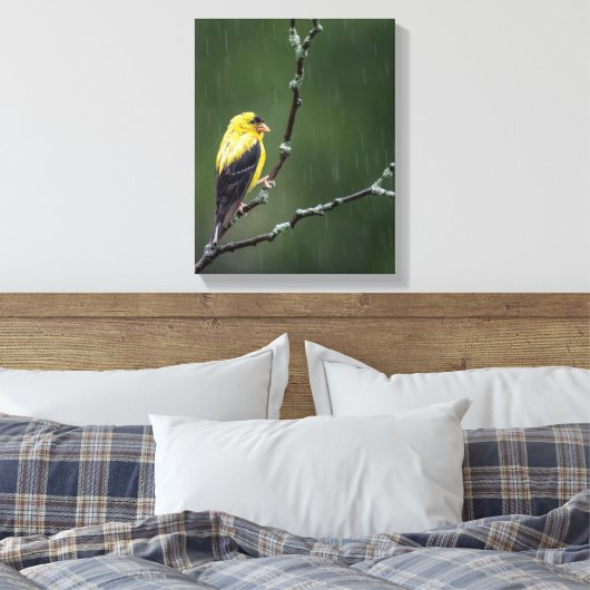 Eén ongelukkige Goldfinch Canvas Afdruk (Insitu (Slaapkamer))