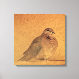 Een onnozend moment canvas afdruk