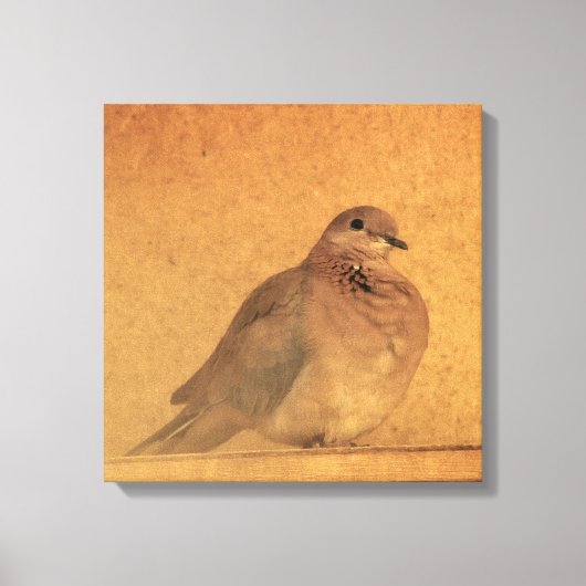 Een onnozend moment canvas afdruk (Voorkant)