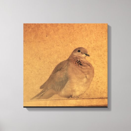 Een onnozend moment canvas afdruk (Voorkant)