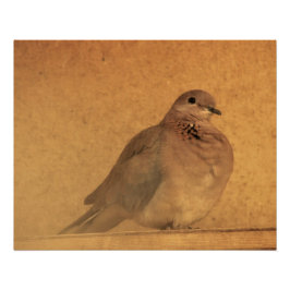 Een onnozend moment perfect poster