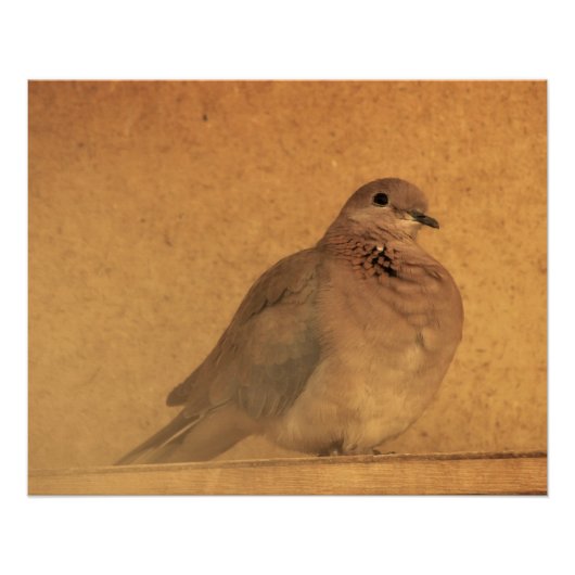 Een onnozend moment perfect poster (Voorkant)