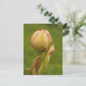 Een ontluikende tulp feestdagenkaart (Staand voorkant)