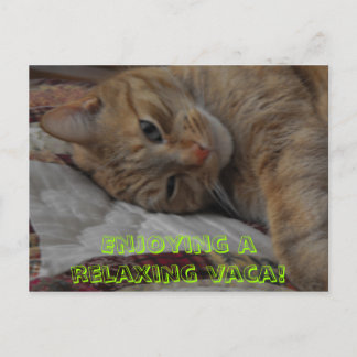 Een ontspannende vakantie! briefkaart