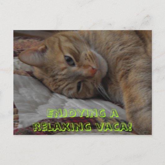 Een ontspannende vakantie! briefkaart (Voorkant)