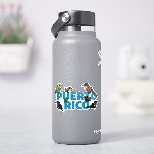 Een onvergetelijke prestatie van Puerto Rico. Ende Sticker (HydroFlask)